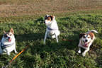 Beispiele Bild 29