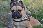 Beispiele Bild 30